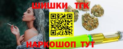 стаф Новодвинск