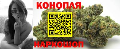 a pvp Новокубанск