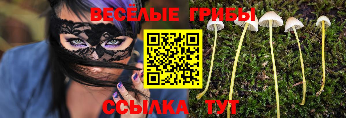 Сухой Лог  Галлюциногенные грибы GOLDEN TEACHER  Вход с VPN  как найти наркотики  Галлюциногенные грибы Cubensis 