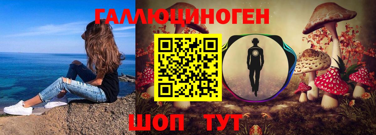 Псилоцибиновые грибы GOLDEN TEACHER Сухой Лог